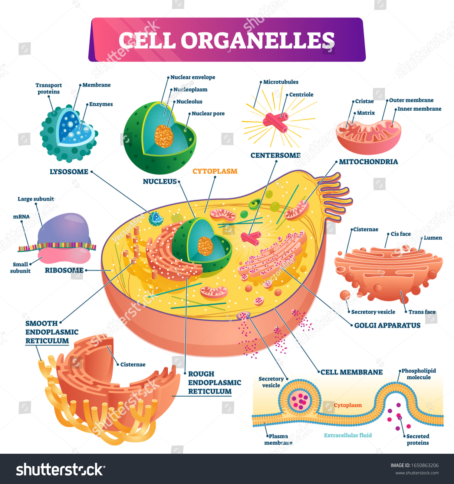 living-organisms-are-made-up-of-chemical-building-blocks-vern-bender